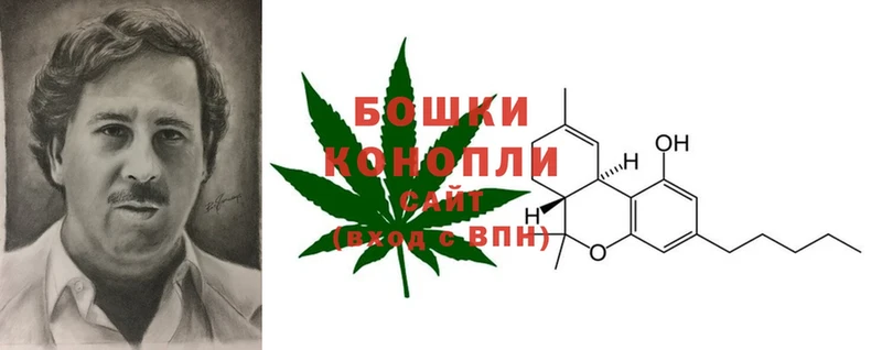 Марихуана White Widow  где купить наркоту  Пущино 